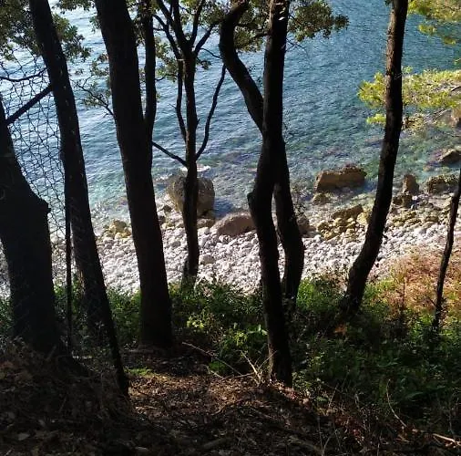 Monolocale Fiumicello - Parcheggio Non Privato A 200 M * Maratea